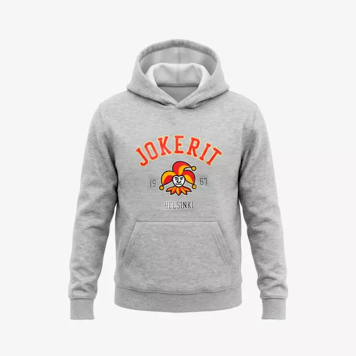 Lasten huppari harmaa - Children's T-shirts and sweatshirts - lashupharK - 1