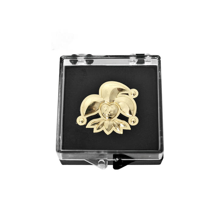 Pinssi lahjarasiassa - Fanituotteet - pinssir - 1